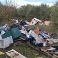 L'orrore di Molfetta: rifiuti speciali sulla vecchia strada per Corato