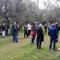 Prosegue la rassegna "Ti raccontiamo la Natura " nel parco di Lama Martina
