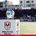 Serie D, ufficiali i gironi 2023/24. Per ora manca il Molfetta