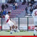 Oggi importante sfida salvezza per la Molfetta Calcio contro la Nocerina