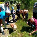 Una giornata alla scoperta delle orchidee selvatiche nel parco di Lama Martina