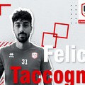 Il difensore Felice Taccogna firma con la Molfetta Calcio