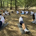 Serie A, prosegue la preparazione atletica della Femminile Molfetta