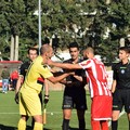 Molfetta Calcio oggi in campo nel terzo turno di Coppa Italia di Eccellenza