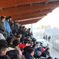 Il calcio dei giovani che piace a Molfetta:  "Petrone " gremito per il derby Juniores