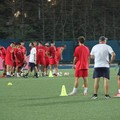 Al via oggi il campionato di Promozione: in campo Molfetta Sportiva e Borgorosso