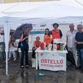 Ostello dell'Accoglienza, il lato più bello della festa patronale a Molfetta