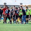 Molfetta Calcio, oggi trasferta a Gallipoli per il turno infrasettimanale