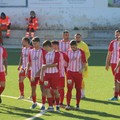 Momento positivo per il Borgorosso Molfetta: 15 punti nelle ultime 8 partite