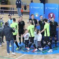 Coppa Italia regionale, oggi il Real Molfetta si gioca il trofeo in finale