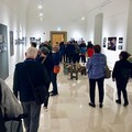 Ultimo weekend della mostra gratuita  "In spem peregrinantes " a Molfetta