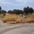 Il Comitato di quartiere  "Madonna della Rosa " deluso: «Noi trascurati dal Comune»