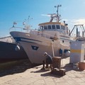 Sagra a mare 2025: sarà il motopesca  "Diamante " a portare la Madonna dei Martiri