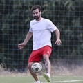 L'esperto Ezio Elia per la difesa del Borgorosso Molfetta