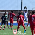 Molfetta Calcio ko in casa contro il Norba Mola: decide l'ex Bozzi