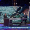 Il Centro Recupero Tartarughe Marine di Molfetta protagonista a “Geo” su Rai 3