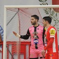 Serie C1, il Real Molfetta oggi in campo contro il Veglie al PalaPoli