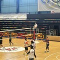 Volley, in Serie D scontro diretto per la Dinamo Molfetta