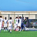 La Molfetta Calcio in trasferta a Lucera per uno scontro diretto ad alta intensità