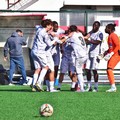 Molfetta Calcio a caccia del quinto successo di fila contro il Cosmano