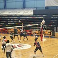 Volley, la Dinamo Molfetta sarà ospite dell'ASEM Bari