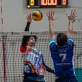 Volley, torna oggi in campo la Dinamo Molfetta
