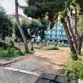 Il Comitato Difesa Verde: «A Piazza De Gasperi il verde cancellato, la memoria ferita»