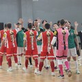 Real Molfetta, ultima chiamata per la Serie B: contro Reggio Calabria serve l'impresa