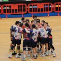 Volley, oggi in campo la Dinamo Molfetta in Serie D