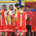 Real Molfetta, prosegue la corsa verso la Serie B: nel pomeriggio sfida al Venafro