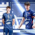 Volley, il molfettese Nicolò Ciccolella firma con l'Atlantide Pallavolo Brescia