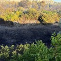 Incendio a Lama Martina, in programma nuovi sopralluoghi per quantificare i danni ambientali