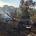 Incendio a Lama Martina, Legambiente: «Ora serve protezione, non intrattenimento»