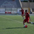 Molfetta Calcio, nuovo test al “Paolo Poli” contro l’Altamura Primavera