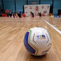 Coppa Divisione, oggi Real Molfetta contro Futsal Bitonto al PalaPoli