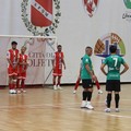 Serie B, il Real Molfetta debutta a Sammichele