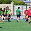 Molfetta Calcio, oggi al "Paolo Poli " la sfida di Coppa contro il Don Uva