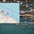 Alga tossica in aumento a Molfetta: il nuovo bollettino