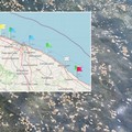 Spunta l'alga tossica a Molfetta: livelli  "discreti " rilevati nella prima metà di luglio