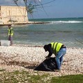 Pulizia spiagge, al lavoro gli operatori dell'Asm Molfetta