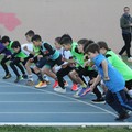 Athletic Challenge Team Under 14, stabilite le società finaliste a Molfetta