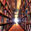 La biblioteca comunale di Molfetta si sposta in via Carnicella: il 18 ottobre la riapertura