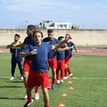 Per Molfetta Sportiva e Molfetta Calcio, ci sono i tabù Vieste e Rutiglianese