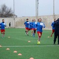 Molfetta Sportiva, Molfetta Calcio e Borgorosso avvisate: vietato sbagliare