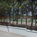 A diverse società sportive di Molfetta la gestione triennale dei campetti di Viale Gramsci