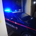 Folle inseguimento, catturato 23enne dopo il furto di una Fiat Punto