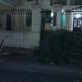 Vento forte, danni tra Via Baccarini e Corso Umberto