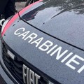 Ladro nel negozio di detersivi e profumi, bottino ingente