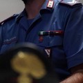 Ladri in azione nella notte a Molfetta: furto alla Bottega dell'Orafo