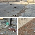 Rifiuti e vandalismo in via Generale dalla Chiesa